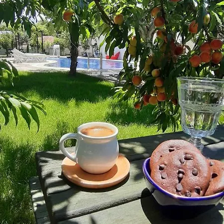 Calis Tatil Evleri *